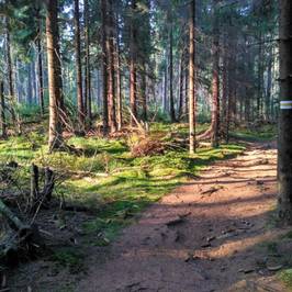 Stolowe Mountain National Park