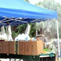 San Clemente Farmers Market