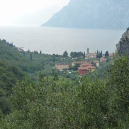 Holy Lucia's Road