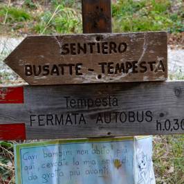 Busatte Park – Tempesta