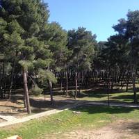 Parco di Badimanna