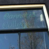 Cannabis College