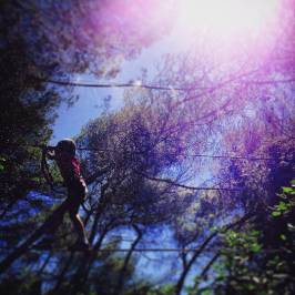 Forest Parc