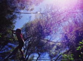 Forest Parc