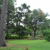 Woodward Park