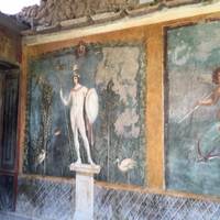 House of Venus in the Shell