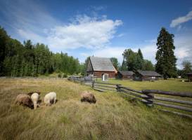 Huble Homestead Historic Site