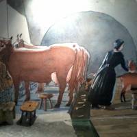 The Belleville Museum