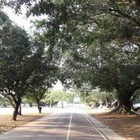 Weiwuying Park