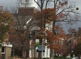 Fayetteville Downtown Square & Gardens