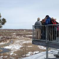 Rotary Park Lookout