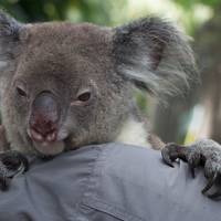 Cooberrie Park Wildlife Sanctuary