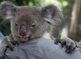 Cooberrie Park Wildlife Sanctuary