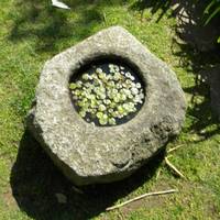 Orto Botanico di Bergamo Lorenzo Rota