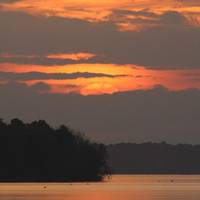Lake Talquin State Forest