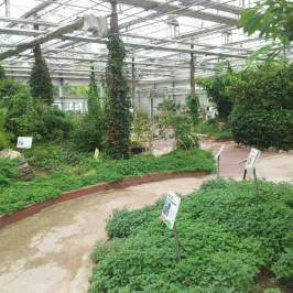 Ansan Botanical Garden