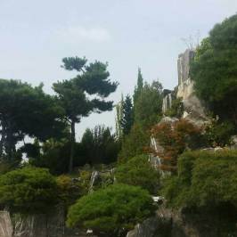 Hanbat Arboretum
