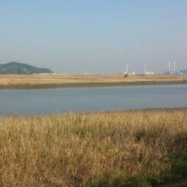 Sihwaho Lake Reed Marsh Park