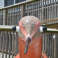 DuPont nature center