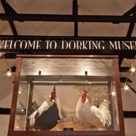 Dorking Museum and Heritage Centre