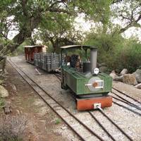 Piedra Baya Ferrocarril de Montana