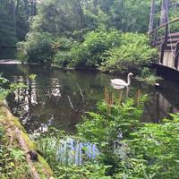 Avalon Park & Preserve