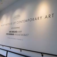 The Halsey Institute of Contemporary Art