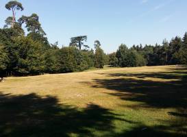 Black Park