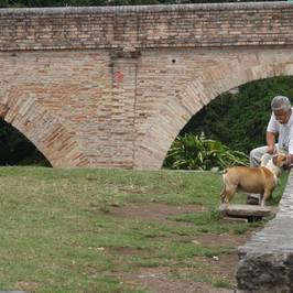Puente del Humilladero
