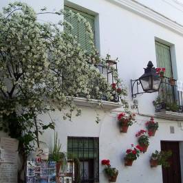 Patios de Cordoba