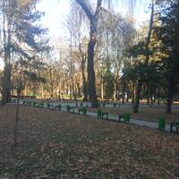 Парк Стефана Великого