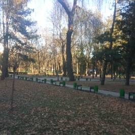 Парк Стефана Великого