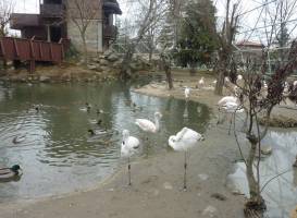Bursa Zoo