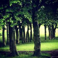 Braidburn Valley Park