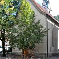 St. Regula Church
