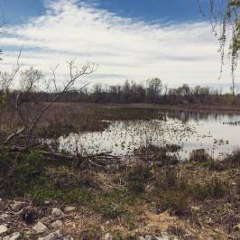 Occoquan Bay National Wildlife Refuge