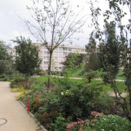 Parc de la Planchette
