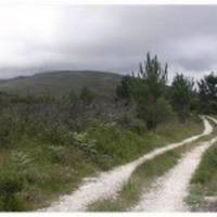Centro de BTT - Pia do Urso