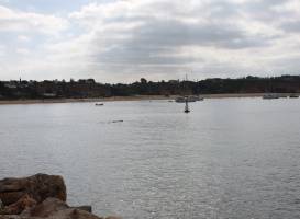 Subnauta Dive The Algarve