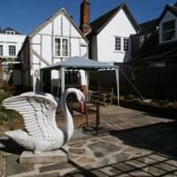 Leatherhead Museum