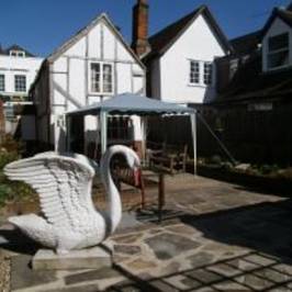 Leatherhead Museum