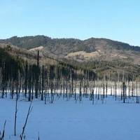 Lake Cuejdel