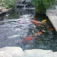 Butterfly Wonderland