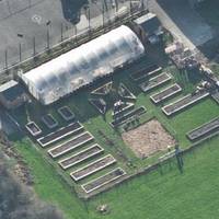 Leatherhead Community Garden