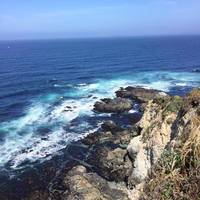 Tomales Point Trail