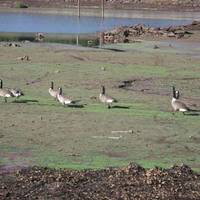 Patuxent Research Refuge - North Tract