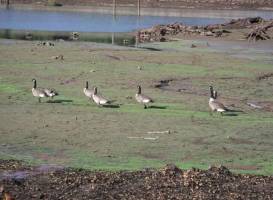 Patuxent Research Refuge - North Tract