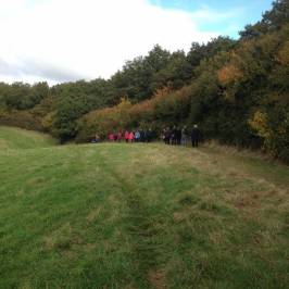 Fermyn Woods Country Park