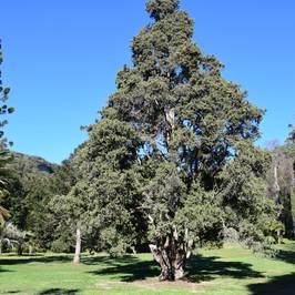 Giardino Inglese