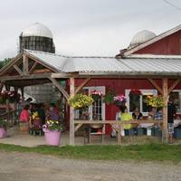 Valley Dream Farm